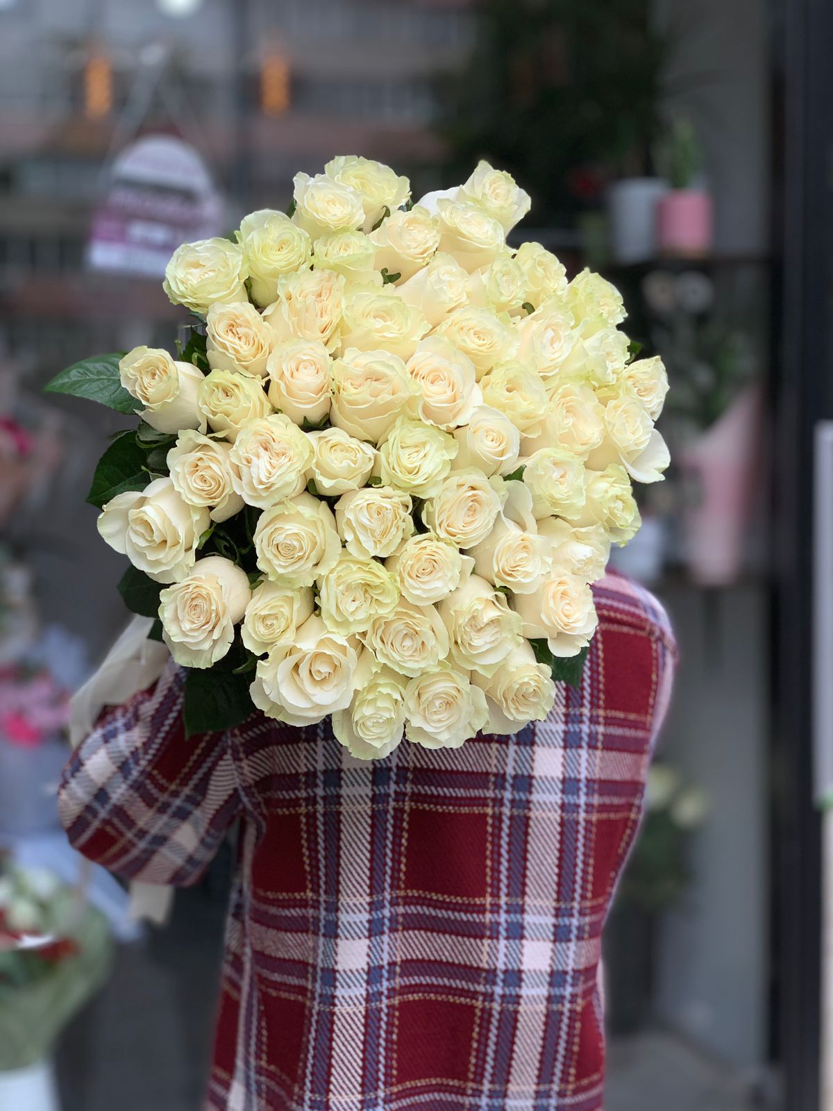 51 trandafiri albi premium ecuadorieni cu tulpini lungi