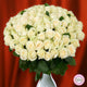 Buchet 51 Trandafiri Albi