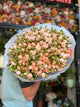 Bouquet di 55 rose spray rosa