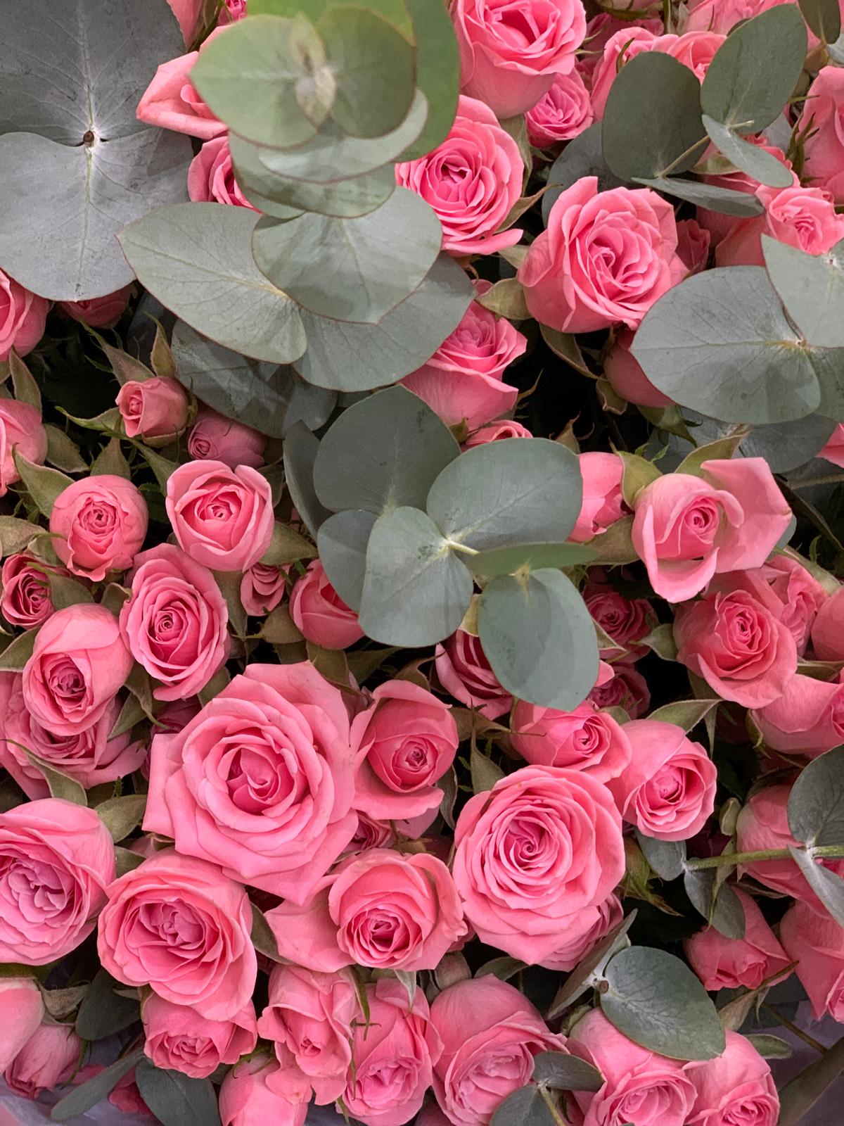 Flori Premium Trandafiri Tros #1  TheBloomRoom