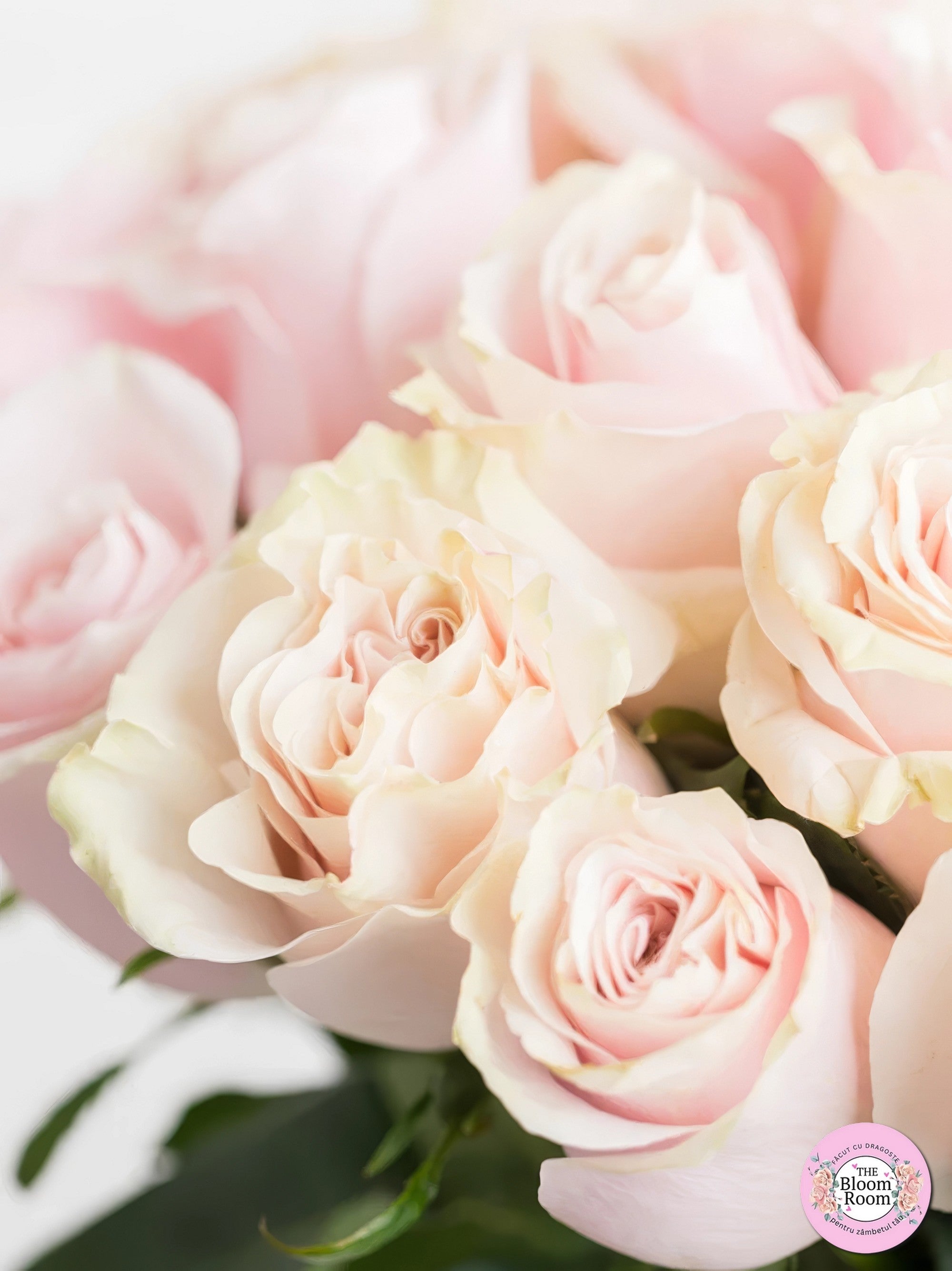 Trandafiri roz naturali The Bloom Room Florarie