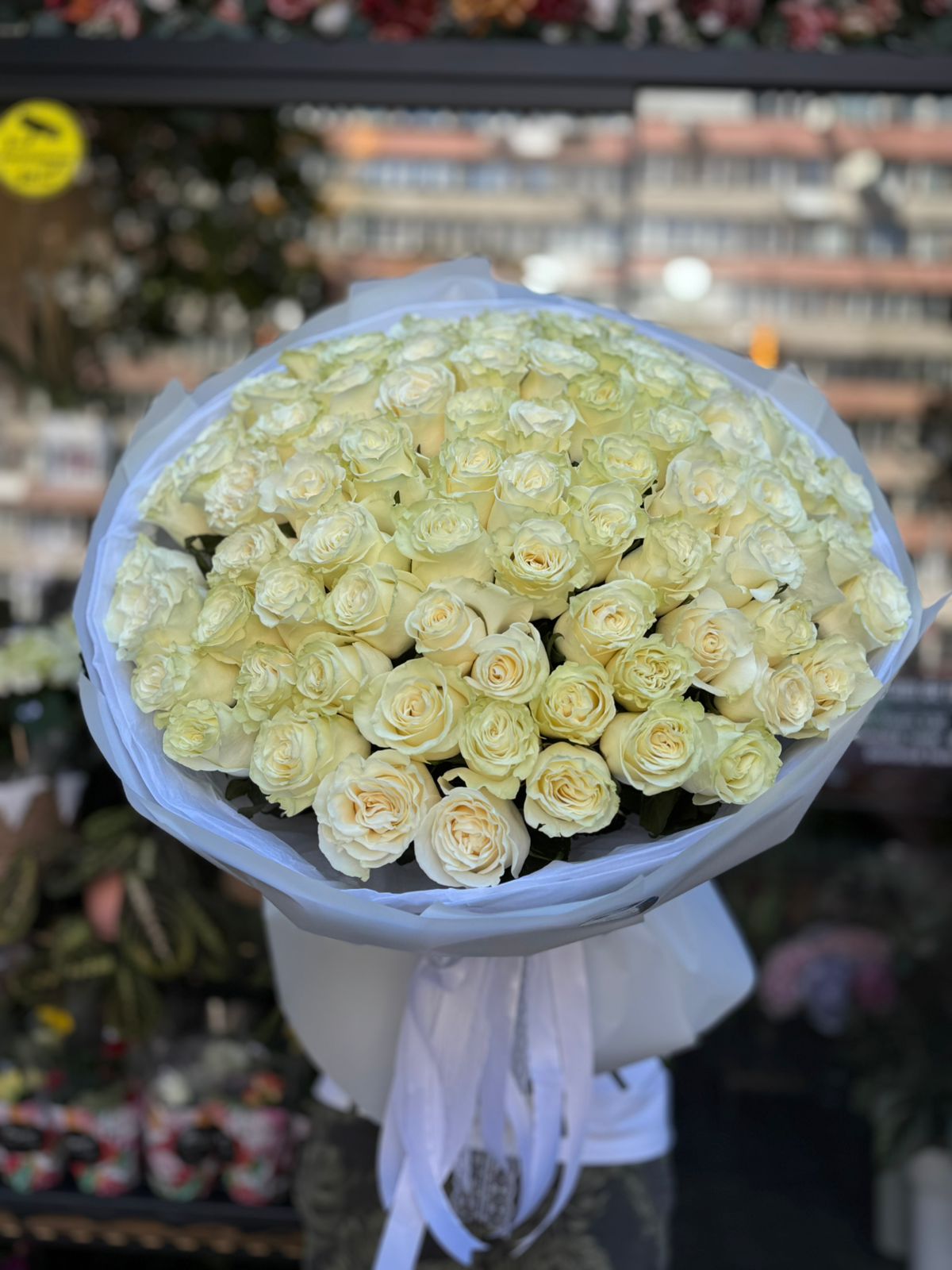 Buchet 81 Trandafiri Albi București
